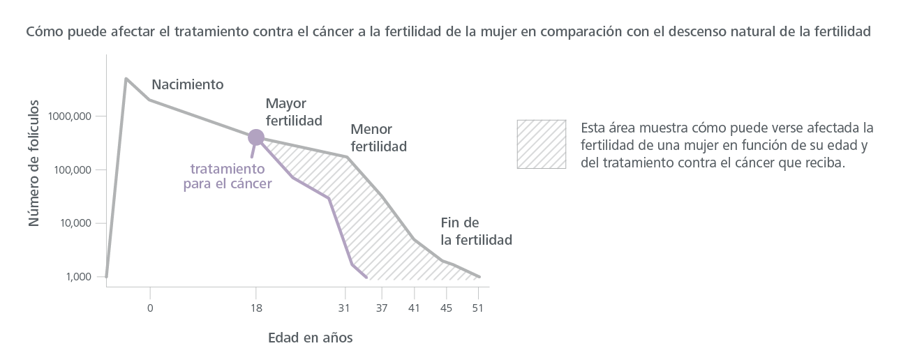 El tratamiento del cáncer afecta la fertilidad