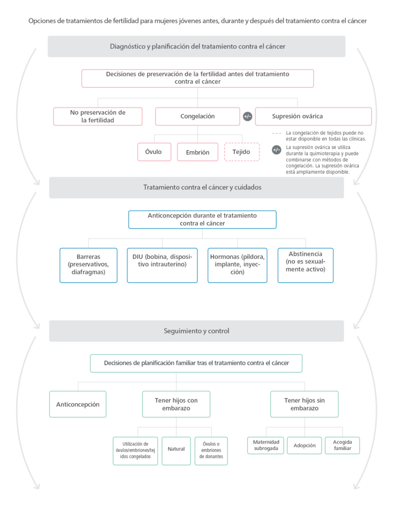 Vinculación de las opciones de fertilidad para las mujeres antes, durante y después del tratamiento del cáncer