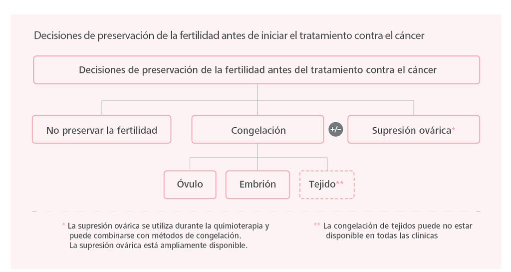 Decisiones de preservación de la fertilidad antes de iniciar el tratamiento del cáncer