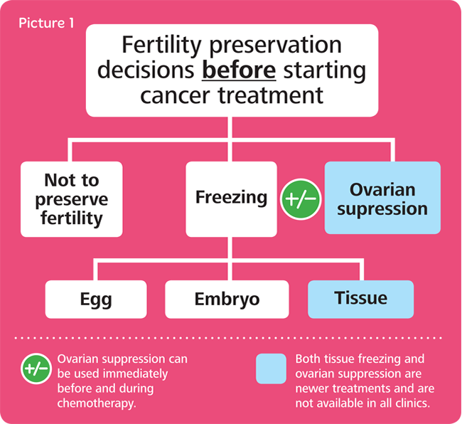 Fertility preservation options - Cancer, Fertility and Me